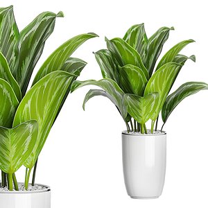 flower pack 89 3D model