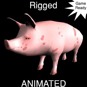 rigged animations ready 3d ma