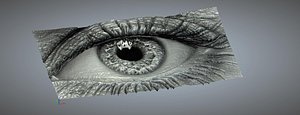 eye relief 3d model
