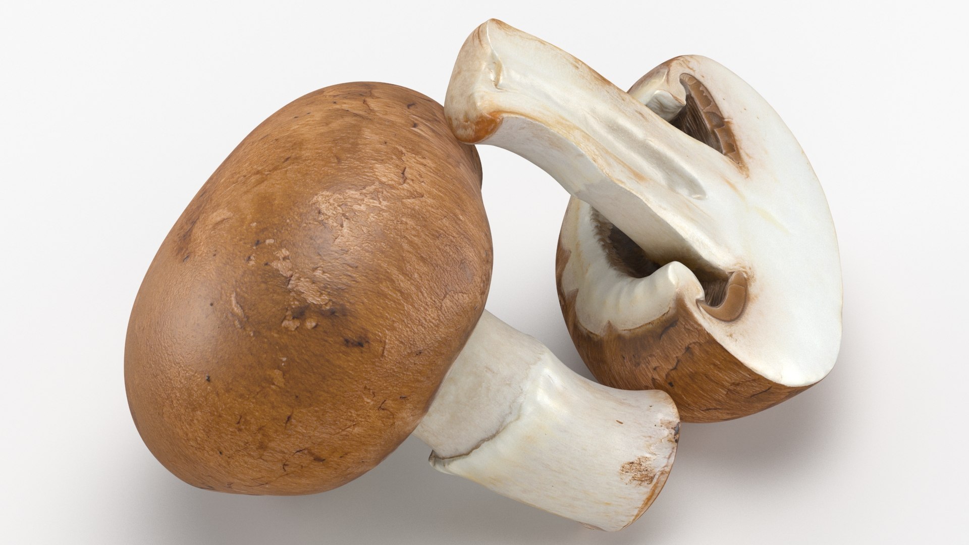 Whole Swiss Brown Mushroom And Half 3D - TurboSquid 1803973