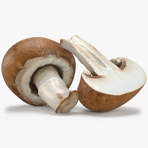 Whole Swiss Brown Mushroom and Half 3D
