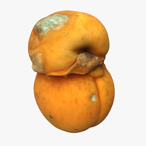 Rotten Apricots 01 model