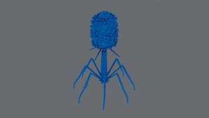 Bacteriophage 3D
