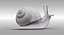 snail shell animal 3D model