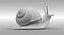 snail shell animal 3D model