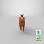 Horse Running