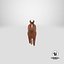 Horse Running
