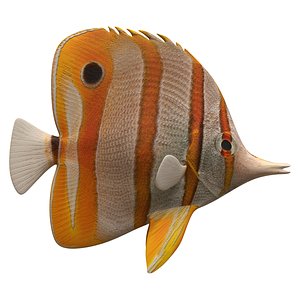 3D butterfly fish