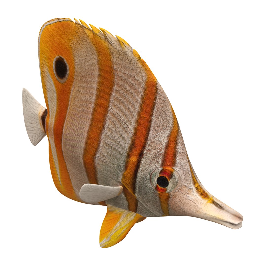 3D Butterfly Fish - TurboSquid 1440765