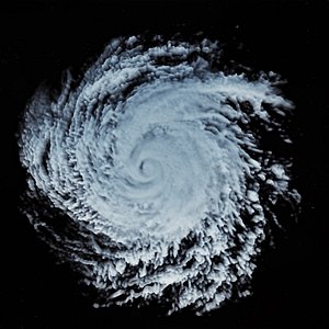 storm 1 3D model