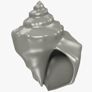 Seashell Mesh V12