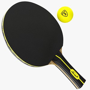 3D real ping pong paddles