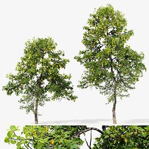 3D lemon tree