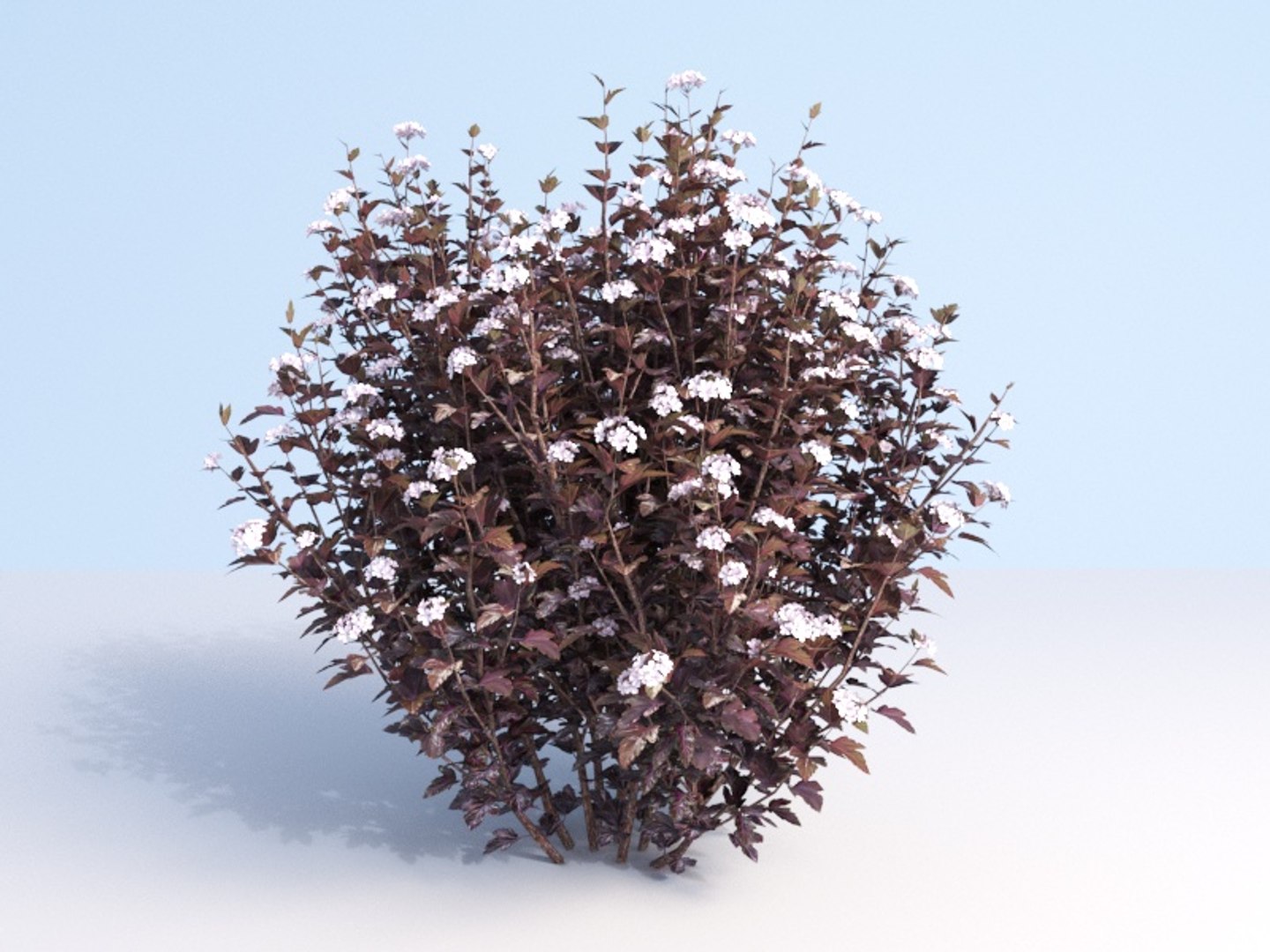 3D shrubs bush leaves https://p.turbosquid.com/ts-thumb/zy/etbwI8/5O3jKTGL/175_2/jpg/1560513898/1920x1080/fit_q87/899433aa52302d5bdb1a3f456d5aa286ad842914/175_2.jpg