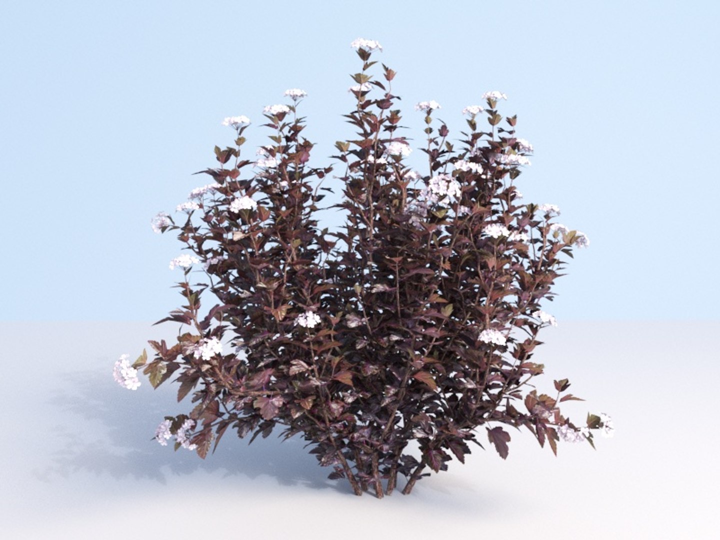 3D shrubs bush leaves https://p.turbosquid.com/ts-thumb/zy/etbwI8/7QSrgpFU/150/jpg/1560513898/1920x1080/fit_q87/4ac7f0b04bb8625a4b15685b03b409f89d398654/150.jpg