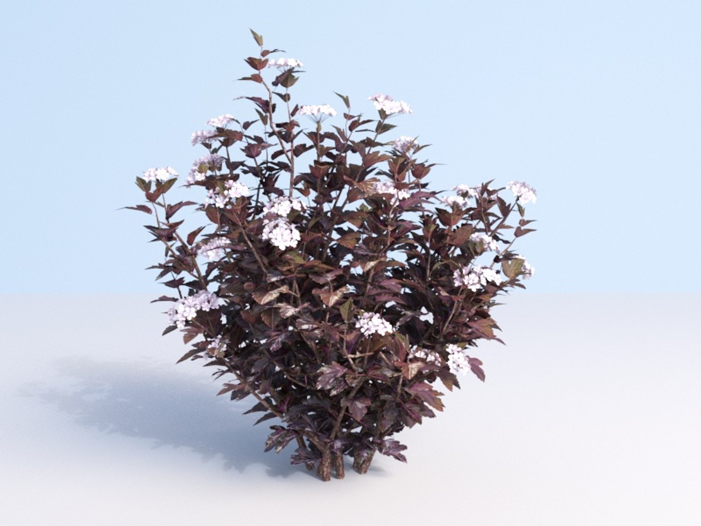 3D shrubs bush leaves https://p.turbosquid.com/ts-thumb/zy/etbwI8/BXYrG9B7/110_2/jpg/1560513898/1920x1080/fit_q87/404408ebaa790b5d50fda6a7018fdfa9960cb5be/110_2.jpg