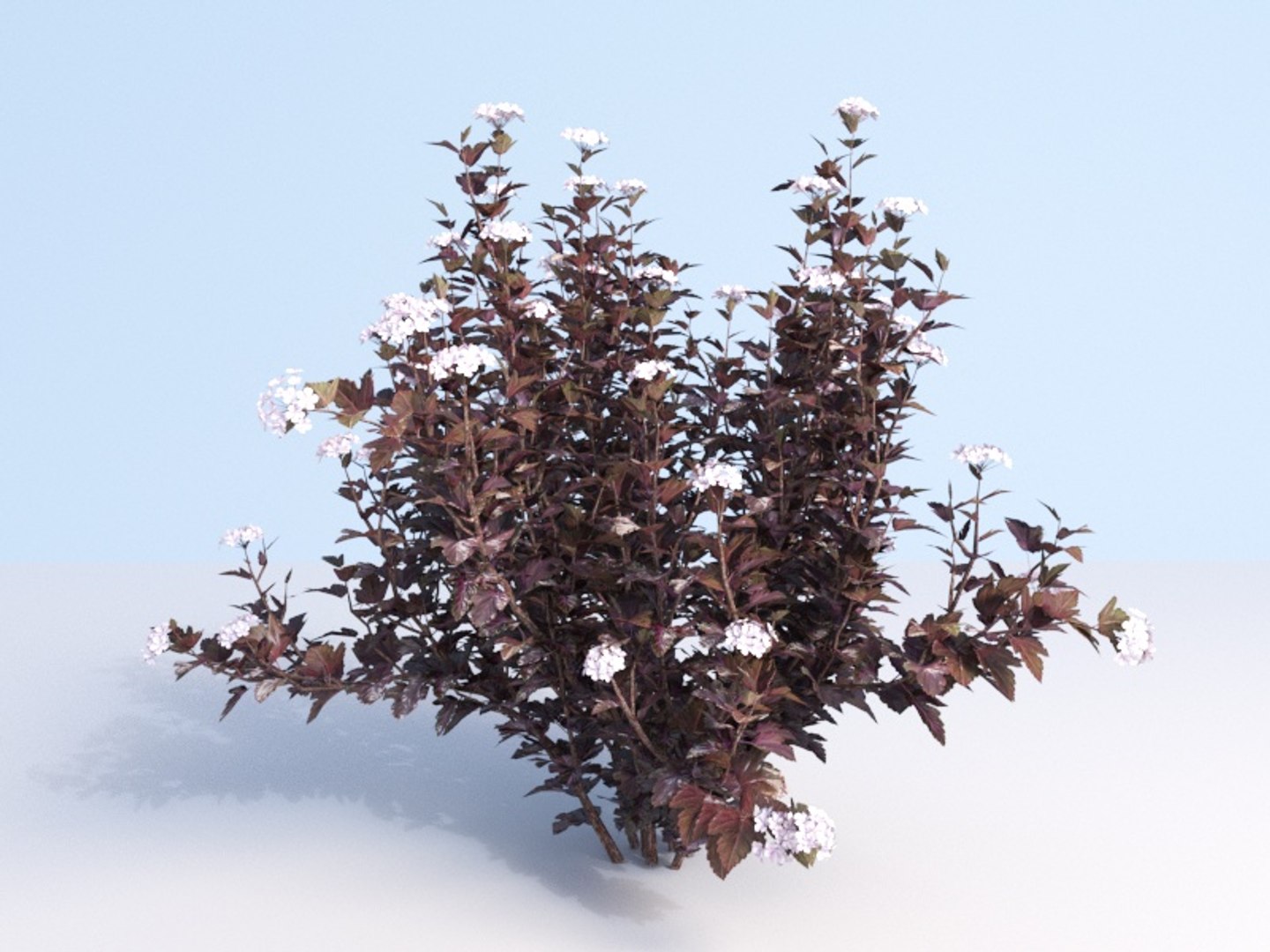 3D shrubs bush leaves https://p.turbosquid.com/ts-thumb/zy/etbwI8/Qi8BbRK7/150_2/jpg/1560513898/1920x1080/fit_q87/14b41b131341f9d0ffb99aa960a70bf3c6f1168e/150_2.jpg