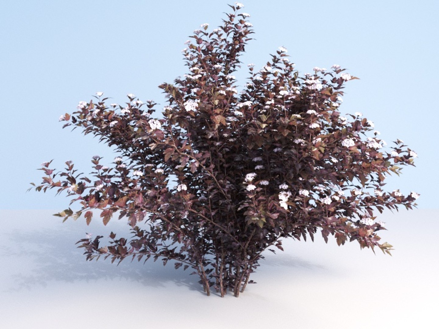 3D shrubs bush leaves https://p.turbosquid.com/ts-thumb/zy/etbwI8/U8htBhhq/245_2/jpg/1560513898/1920x1080/fit_q87/cda68df42ad4a6faf62d6165e1dc64386de04928/245_2.jpg