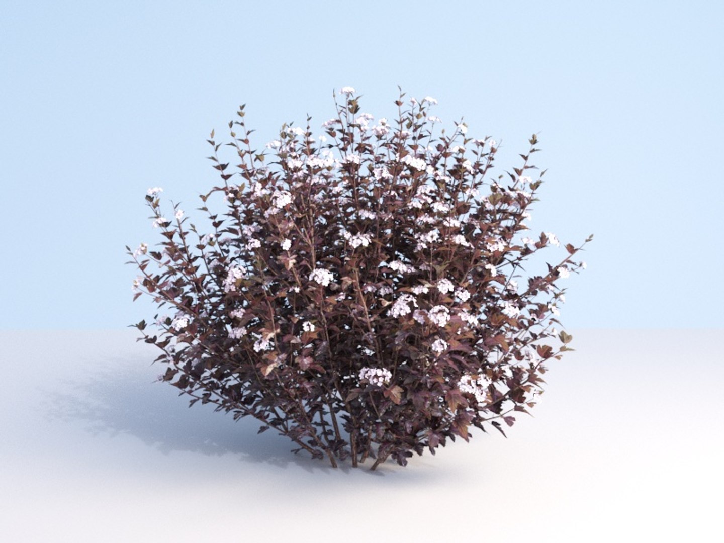 3D shrubs bush leaves https://p.turbosquid.com/ts-thumb/zy/etbwI8/UdikNu6X/200_2/jpg/1560513898/1920x1080/fit_q87/4d78226d4df2c82c7b56f2c60252a49c44b5546e/200_2.jpg