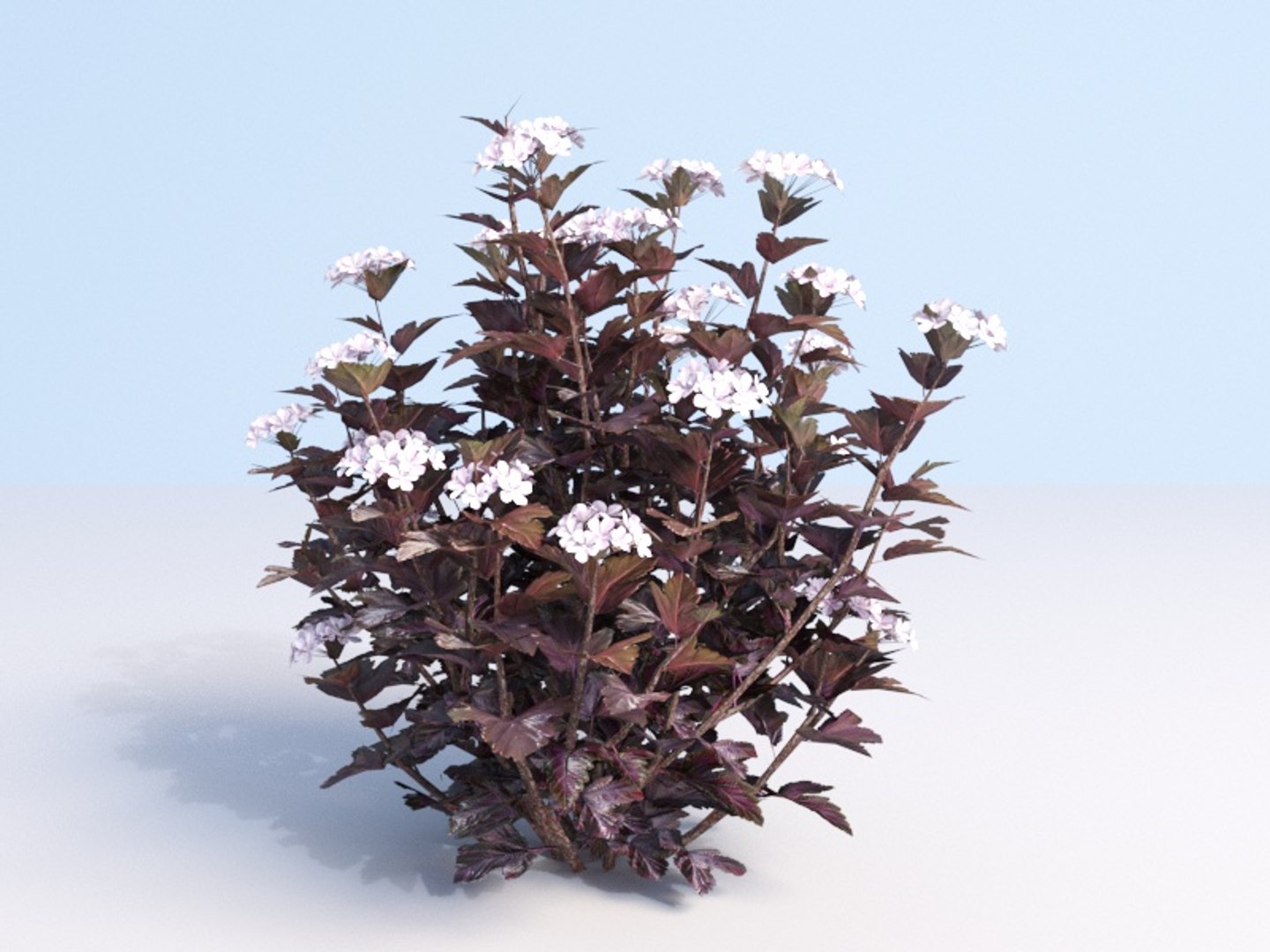 3D shrubs bush leaves https://p.turbosquid.com/ts-thumb/zy/etbwI8/cByzNkWS/75_2/jpg/1560513898/1920x1080/fit_q87/5cfc98648b8e35286923f2dd43e5c81260d970fc/75_2.jpg