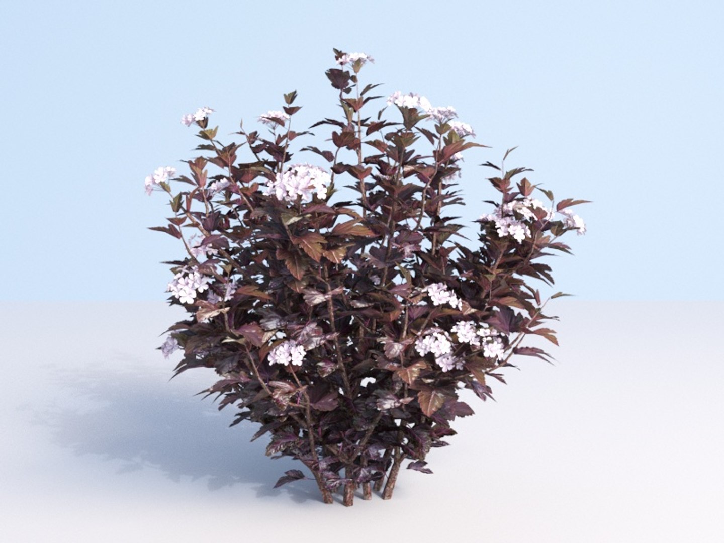 3D shrubs bush leaves https://p.turbosquid.com/ts-thumb/zy/etbwI8/fiWdwOgB/110/jpg/1560513898/1920x1080/fit_q87/631832db5956a3623dd451afec1c531990e36db2/110.jpg
