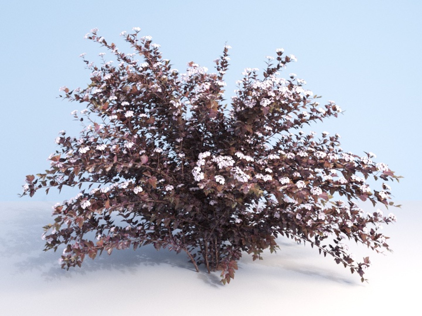 3D shrubs bush leaves https://p.turbosquid.com/ts-thumb/zy/etbwI8/gDfwYyWq/270_2/jpg/1560513898/1920x1080/fit_q87/85e67366238c84e2aaa9bfef53ce031aae0136d0/270_2.jpg