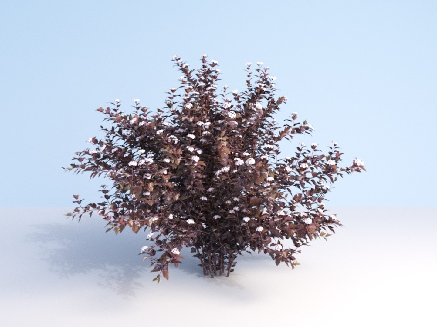 3D shrubs bush leaves https://p.turbosquid.com/ts-thumb/zy/etbwI8/nIdaDhow/245/jpg/1560513898/1920x1080/fit_q87/250eeae093f0f66bafc6daaf9eba4f347471a423/245.jpg