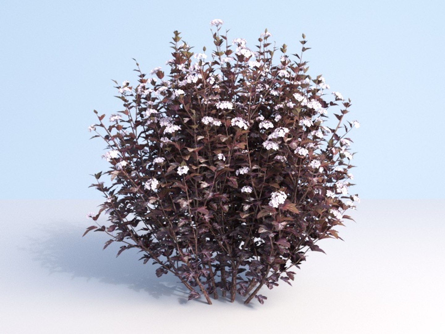 3D shrubs bush leaves https://p.turbosquid.com/ts-thumb/zy/etbwI8/sa95fcFe/175/jpg/1560513898/1920x1080/fit_q87/a1ec9e266886154bfb24ec32b5267270d0a5e2b4/175.jpg