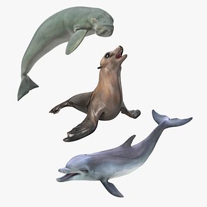 marine mammals rigged 3D model