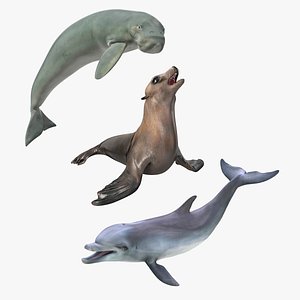 Marine Mammals Rigged Collection for Cinema 4D