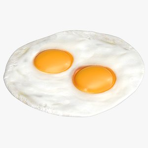 fried eggs model