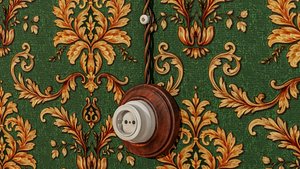 3D Old Socket