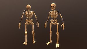 3D soldier skeleton
