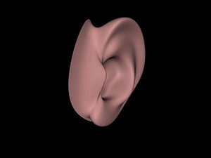 maya ear