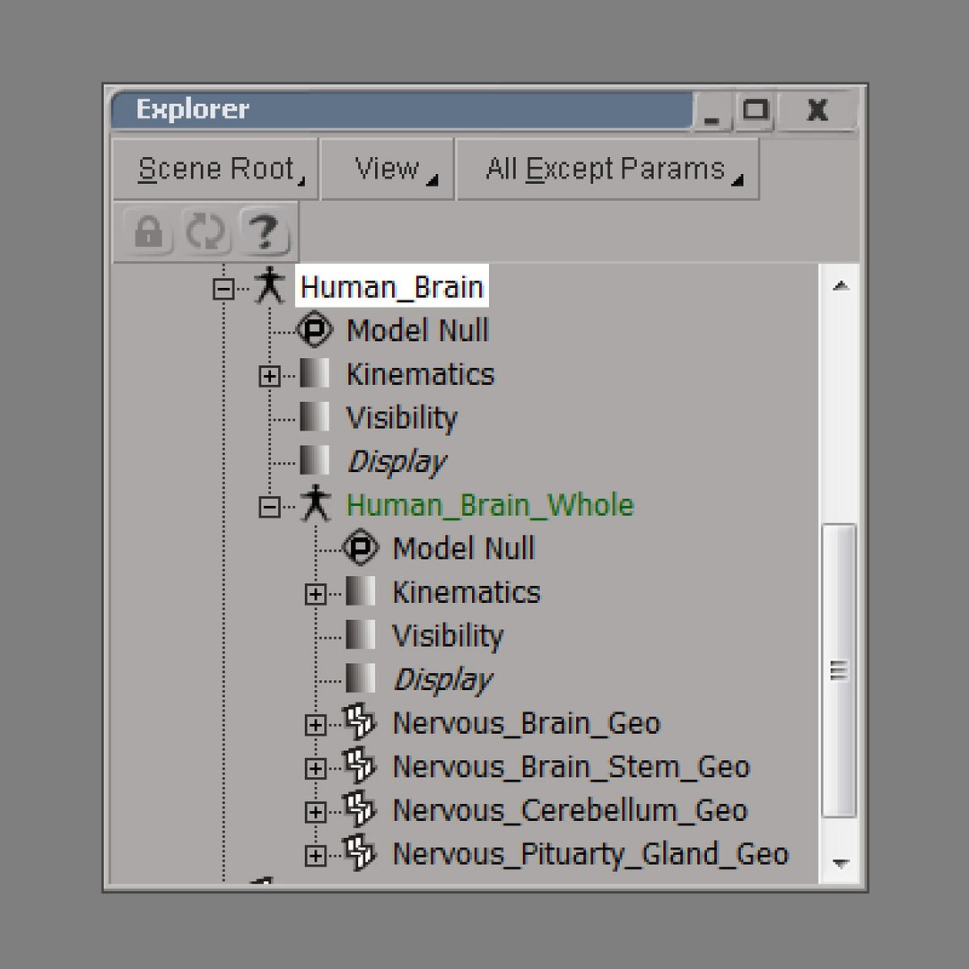 3d medically human brain model https://p.turbosquid.com/ts-thumb/zz/LoYPmJ/czuEATKs/brain_file_structure/jpg/1328027218/1920x1080/fit_q87/bcb2d89fbe62099cc50b076985951a6602c1c229/brain_file_structure.jpg
