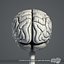 Human Brain (Textured)