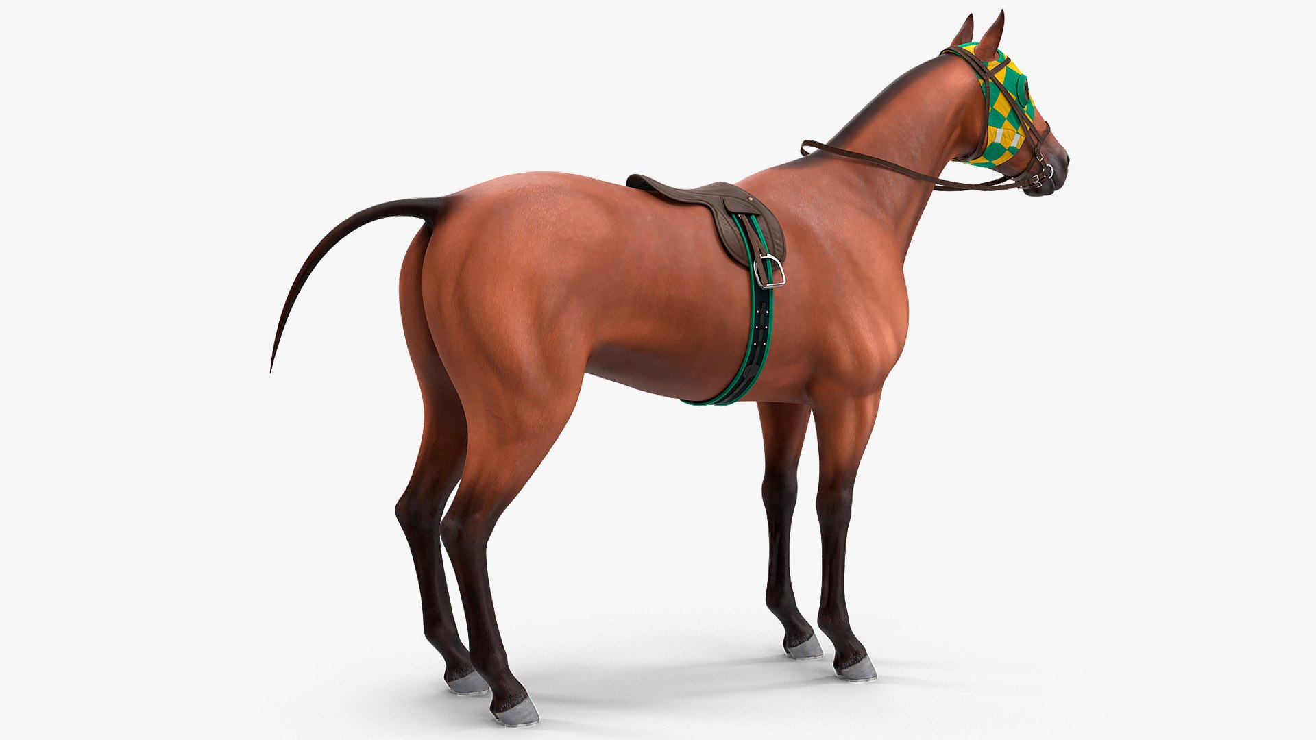 bay racehorse horse 3D model https://p.turbosquid.com/ts-thumb/zz/lgRIzH/4xMJ6U3A/bayracehorsec4dmodel004/jpg/1572440266/1920x1080/fit_q87/6daeb690228a74f810a6a790b4450a26339581b3/bayracehorsec4dmodel004.jpg