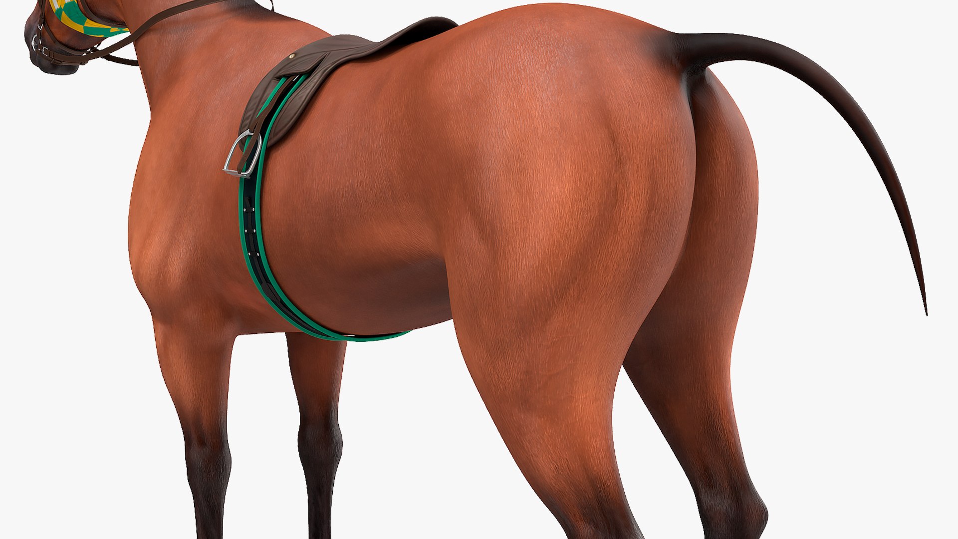 bay racehorse horse 3D model https://p.turbosquid.com/ts-thumb/zz/lgRIzH/FPnWwyvj/bayracehorsec4dmodel011/jpg/1572440300/1920x1080/fit_q87/5144a6ff07d857889f5715590f6299a858dc1ce0/bayracehorsec4dmodel011.jpg