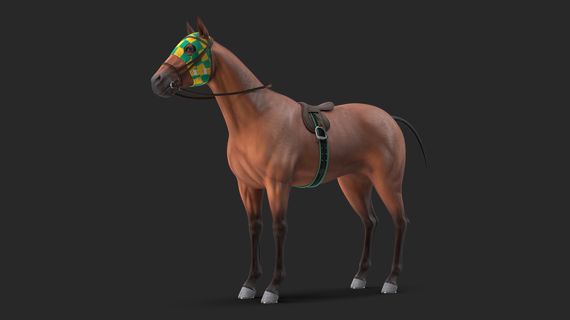 Bay Racehorse 3D model preview