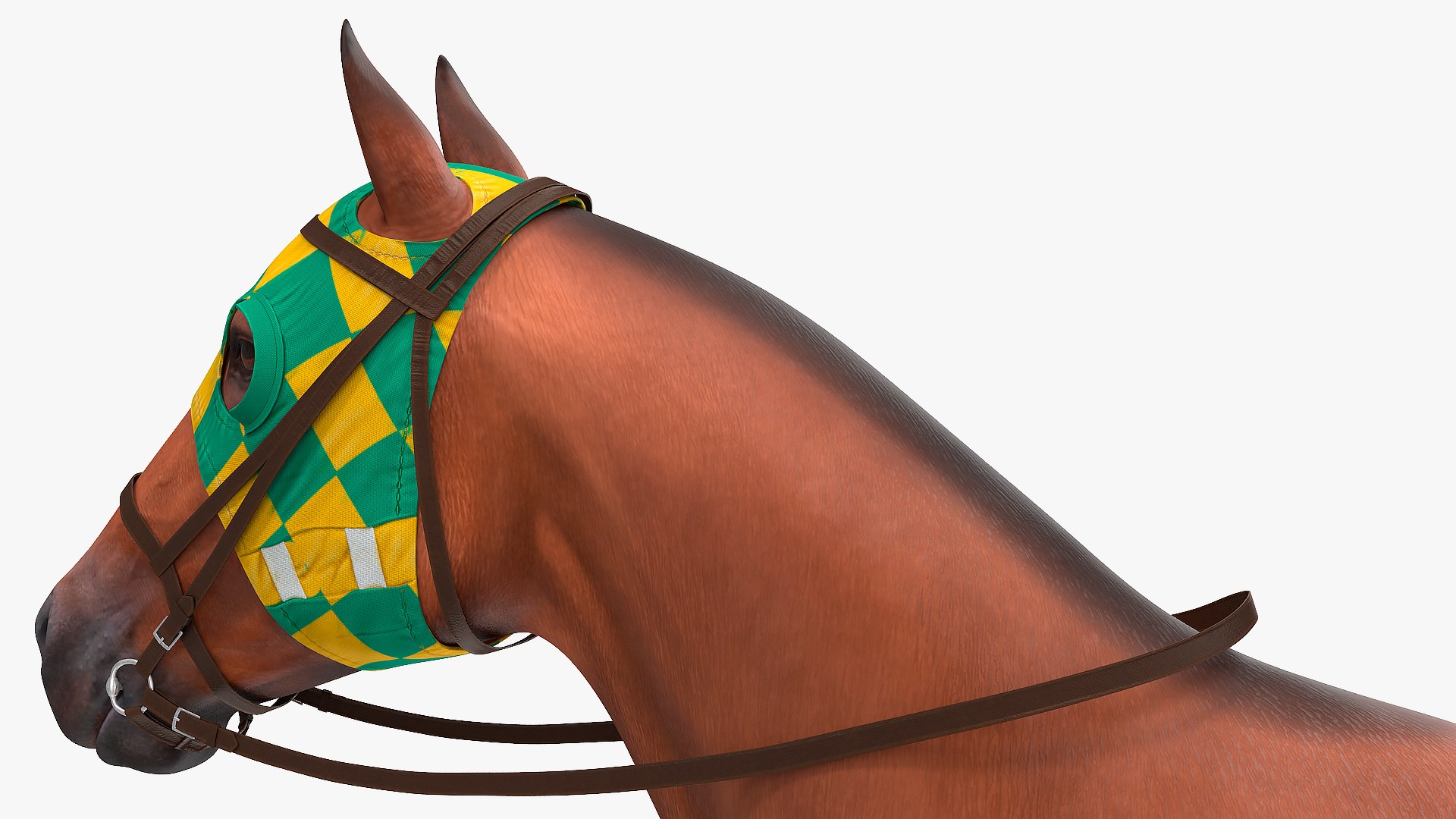 bay racehorse horse 3D model https://p.turbosquid.com/ts-thumb/zz/lgRIzH/ODp1SqYq/bayracehorsec4dmodel017/jpg/1572440329/1920x1080/fit_q87/294408663e6e5ed40e1c41c26143946ce0cc8130/bayracehorsec4dmodel017.jpg