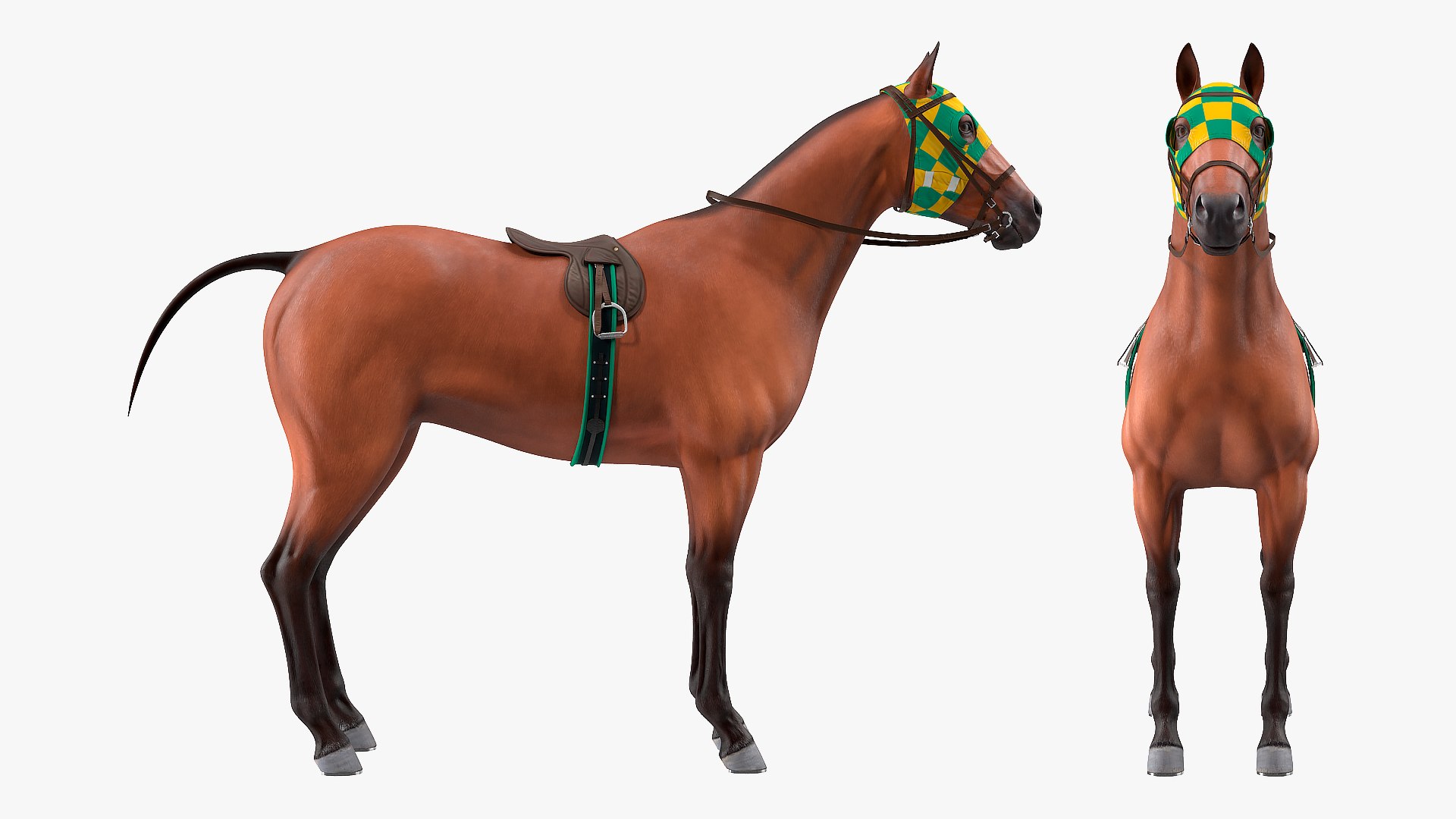 bay racehorse horse 3D model https://p.turbosquid.com/ts-thumb/zz/lgRIzH/Ot5DQWI9/bayracehorsec4dmodel006/jpg/1572440275/1920x1080/fit_q87/0c2e585d326ac9eb984f9100efda206db34f5e29/bayracehorsec4dmodel006.jpg