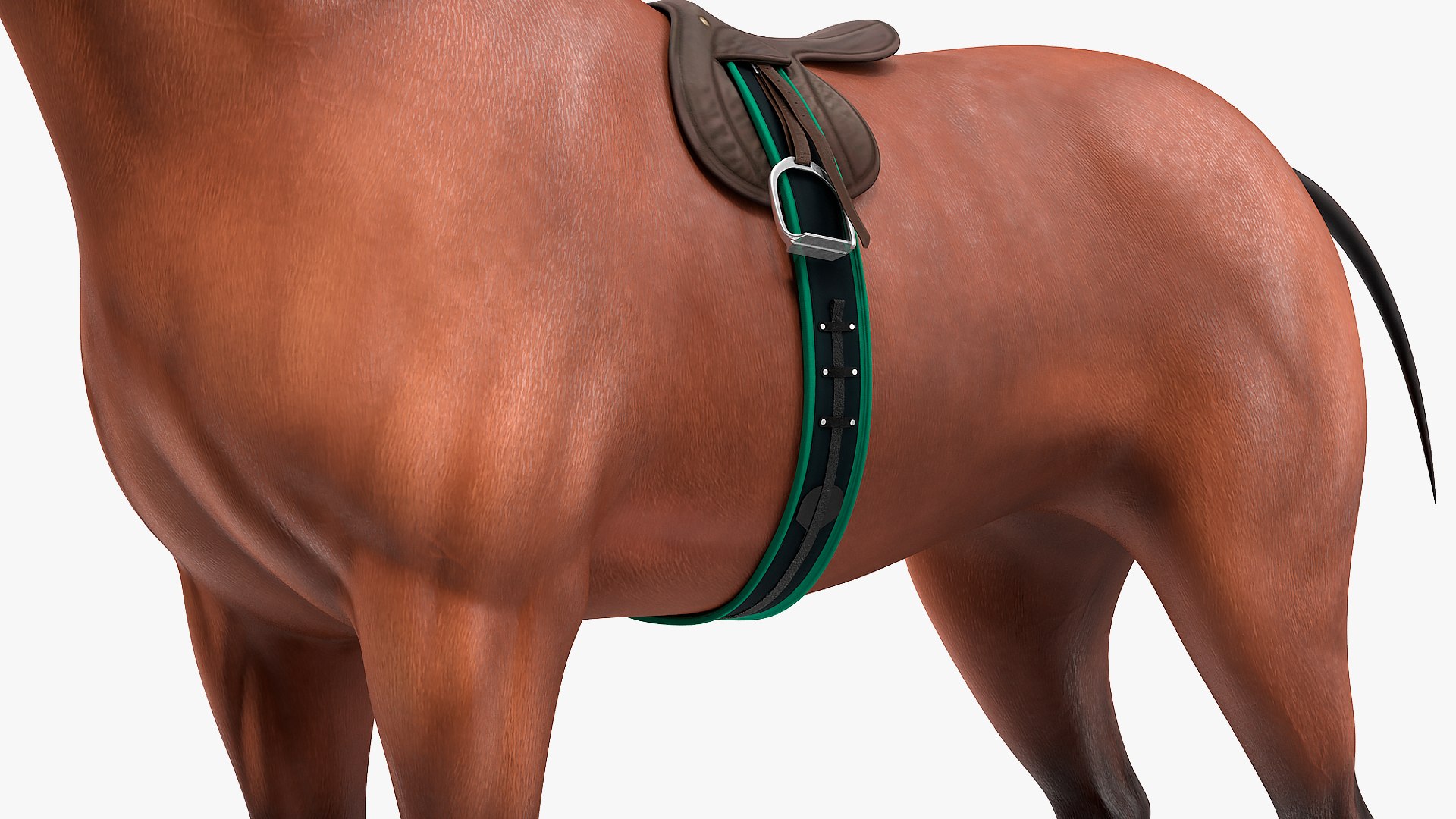 bay racehorse horse 3D model https://p.turbosquid.com/ts-thumb/zz/lgRIzH/P68k1roD/bayracehorsec4dmodel012/jpg/1572440304/1920x1080/fit_q87/efbd7060eb98cbd0b11a1522c30281d8ddabef89/bayracehorsec4dmodel012.jpg