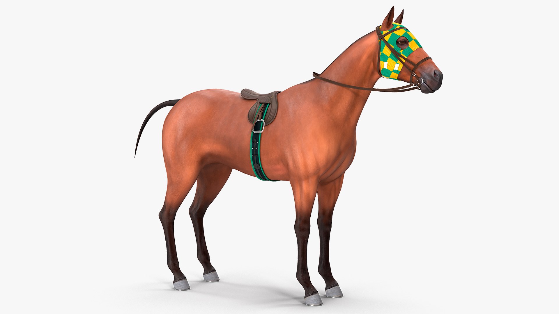 bay racehorse horse 3D model https://p.turbosquid.com/ts-thumb/zz/lgRIzH/Q3t4a2cL/bayracehorsec4dmodel003/jpg/1572440262/1920x1080/fit_q87/3600b1861186b5bc66a57c548ece7708a5b60ffb/bayracehorsec4dmodel003.jpg