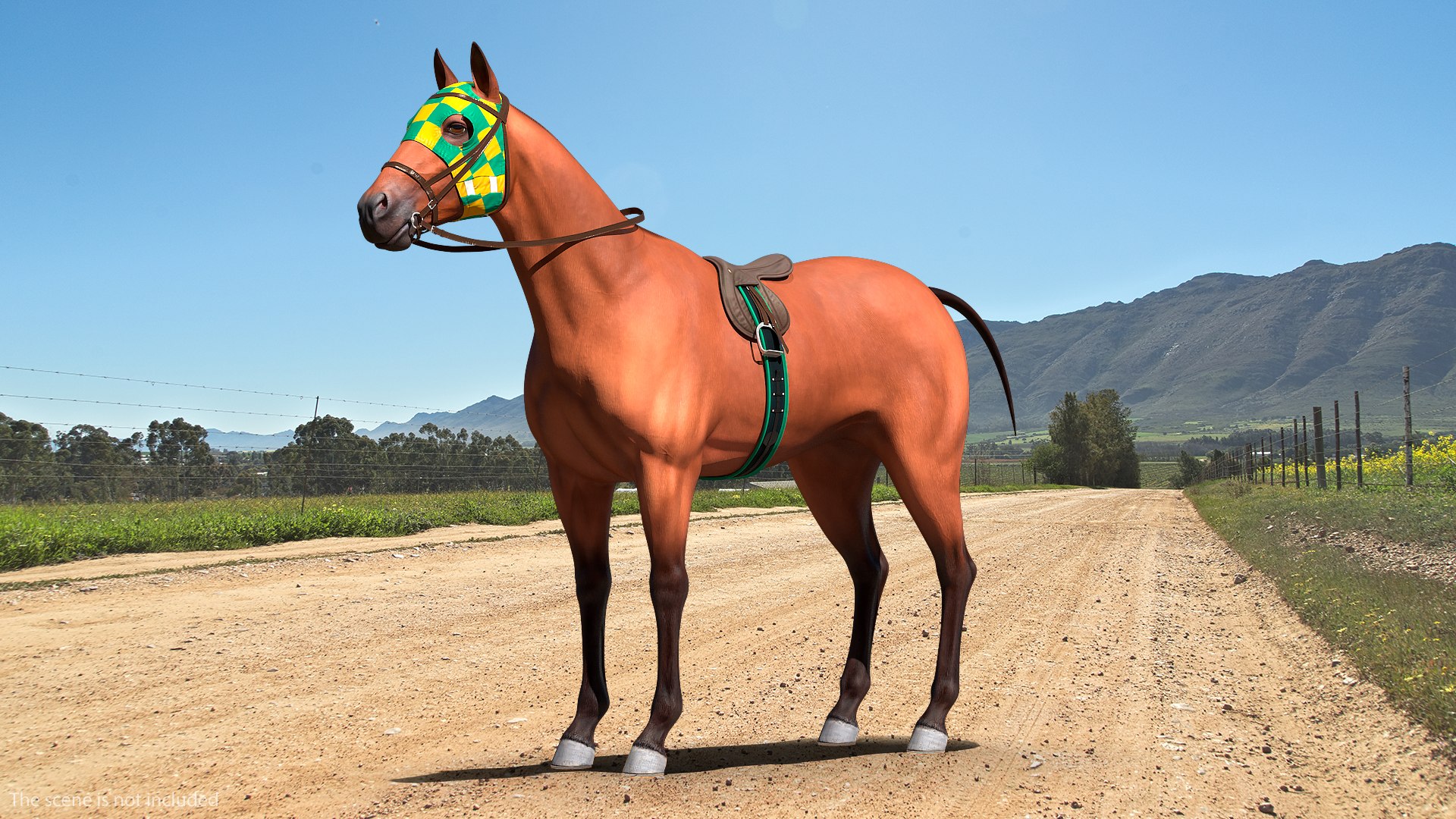 bay racehorse horse 3D model https://p.turbosquid.com/ts-thumb/zz/lgRIzH/WSFGZ45u/bayracehorsec4dmodel002/jpg/1572440256/1920x1080/fit_q87/608cc8210e5ecddfbf851d4129fbce0228ff9a51/bayracehorsec4dmodel002.jpg