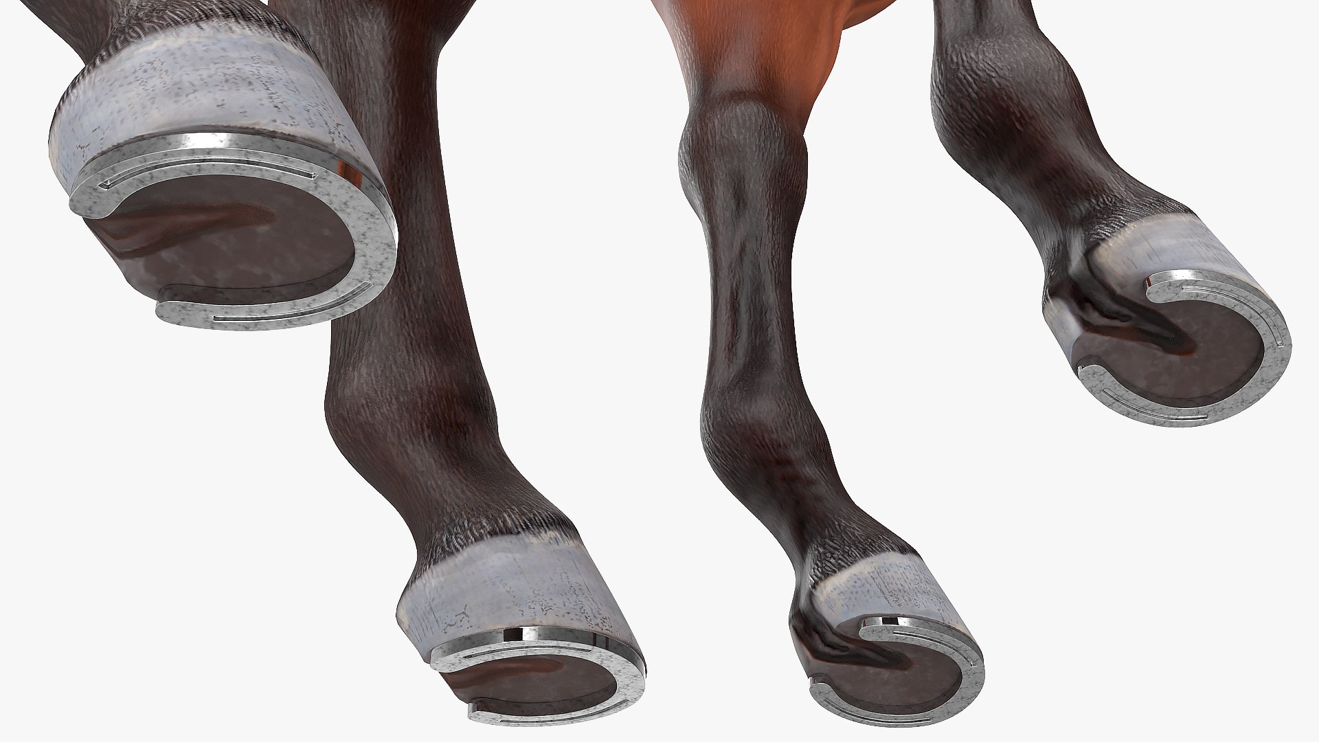 bay racehorse horse 3D model https://p.turbosquid.com/ts-thumb/zz/lgRIzH/ZUttjEur/bayracehorsec4dmodel009/jpg/1572440290/1920x1080/fit_q87/867ba0f4a6931deb80a8f5da0477701a1bfc2937/bayracehorsec4dmodel009.jpg