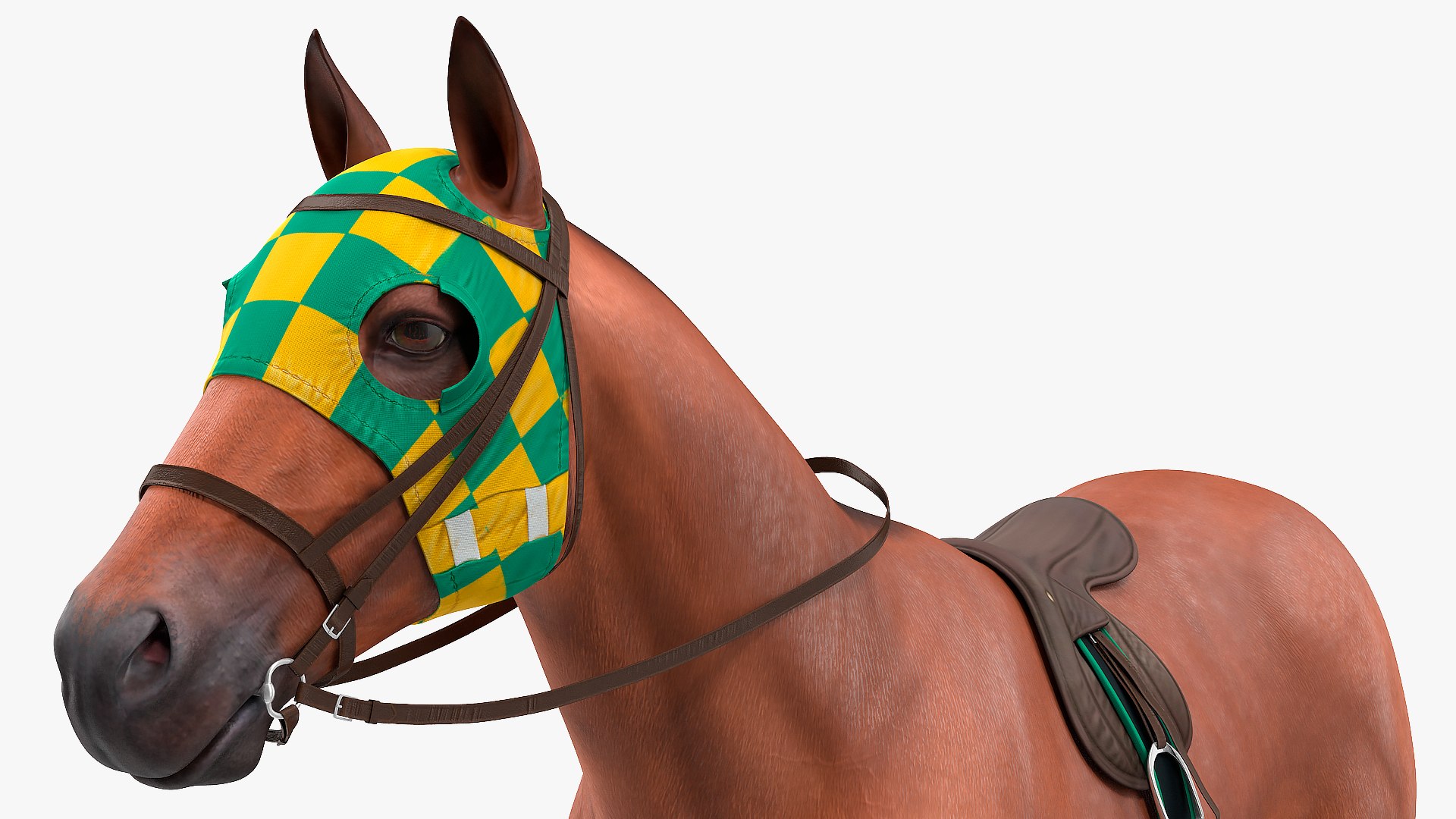 bay racehorse horse 3D model https://p.turbosquid.com/ts-thumb/zz/lgRIzH/ZlqsaO1c/bayracehorsec4dmodel010/jpg/1572440295/1920x1080/fit_q87/52f6401e52c50e3504c07cfd16955ff02083d3ea/bayracehorsec4dmodel010.jpg