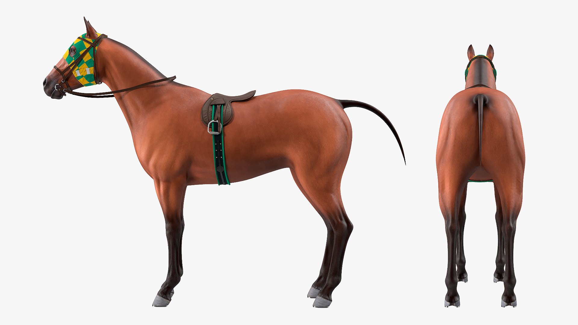 bay racehorse horse 3D model https://p.turbosquid.com/ts-thumb/zz/lgRIzH/bXw4qpPa/bayracehorsec4dmodel007/jpg/1572440280/1920x1080/fit_q87/57b68b29ce51c10e61e58d639d8702f79dbec295/bayracehorsec4dmodel007.jpg
