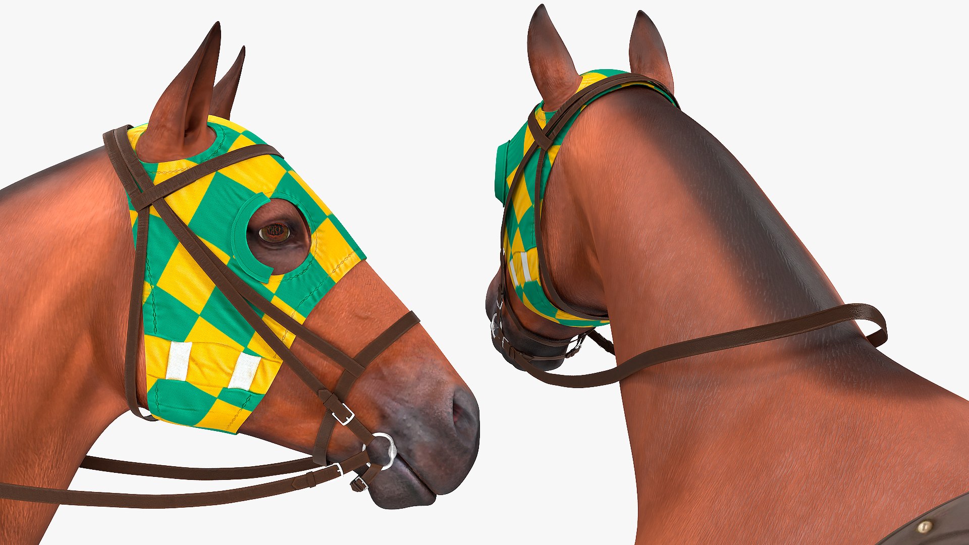 bay racehorse horse 3D model https://p.turbosquid.com/ts-thumb/zz/lgRIzH/iiR4bCCg/bayracehorsec4dmodel015/jpg/1572440319/1920x1080/fit_q87/3bb992484a504416991c7a70befc5e3a10002587/bayracehorsec4dmodel015.jpg