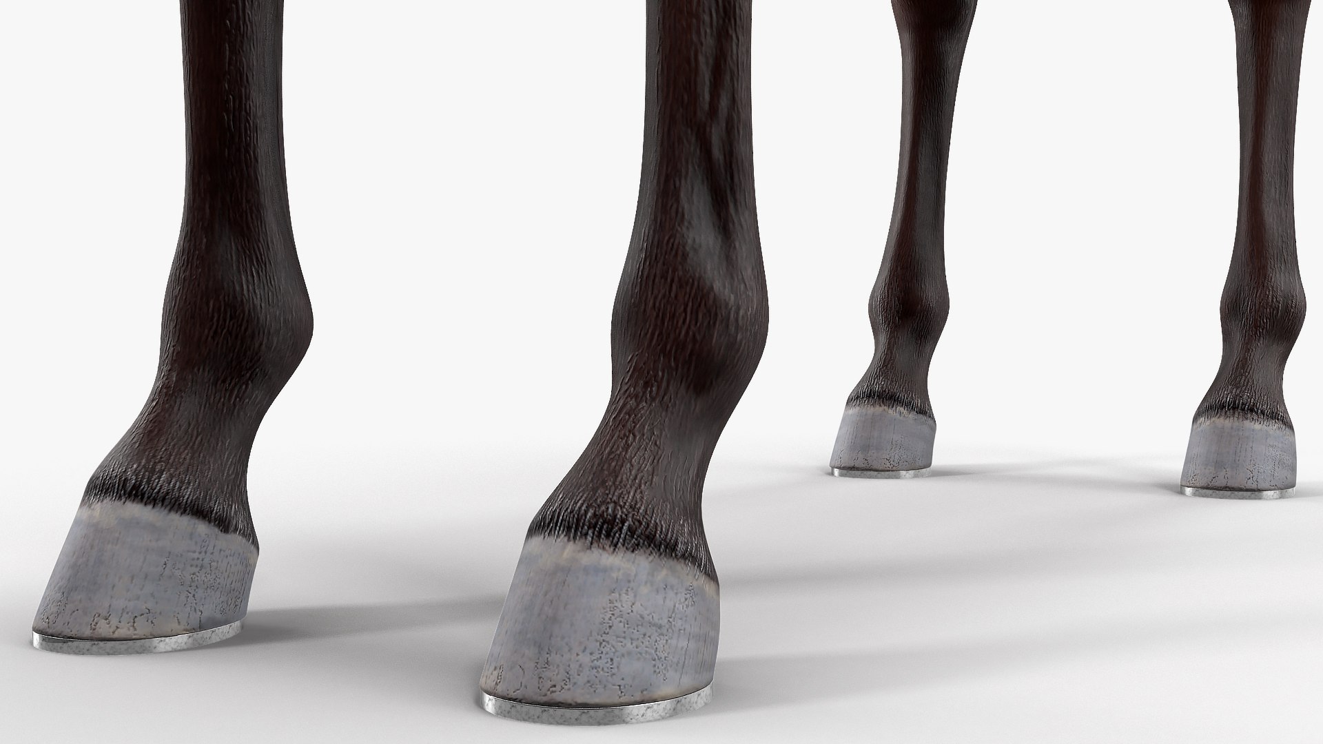 bay racehorse horse 3D model https://p.turbosquid.com/ts-thumb/zz/lgRIzH/tBu9v7dN/bayracehorsec4dmodel014/jpg/1572440314/1920x1080/fit_q87/7b6595f3a4d711322f96f6db150971d8c6219c09/bayracehorsec4dmodel014.jpg